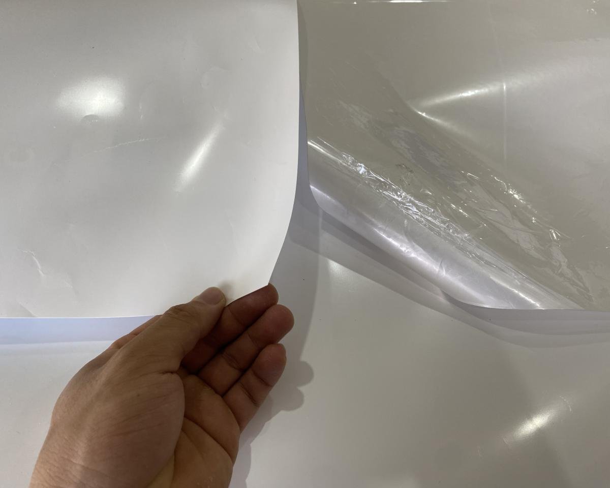 giấy pp keo và không keo